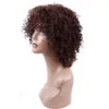 Parrucche afro per capelli sintetici ricci crespi da 8 pollici con parrucche nere arricciate Jerry marrone scuro per donna