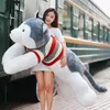 Pop Jumbo Animal Husky Plush Toy Giant Stuffed Cartoon Dog Doll Sovande Kudde för Flickvän presentdekoration 150cm 170cm 190cm dy50439