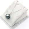 Seashell Jewelry Freshwater Oyster Shell Pearl Necklace Pendant Gives Surprise Gift to Wife