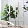 Creative Tulip Design Taper Candle Holder mässing Guld Metal Candlestick Stand Wedding Dinning Table Decorative Centerpieces