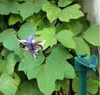 New Creative Vibration Solar Power Dancing Flying Fluttering Butterflies Hummingbird Garden Decorative Stake