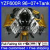 Karosserie + Tank für Yamaha YZF600R Thundercat 02 03 04 05 06 07 229HM.50 YZF 600R Gold Silber YZF-600R 2002 2003 2004 2005 2006 2007 Verkleidung