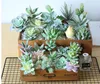 Konstgjorda succulents växter Suckulenta för vardagsrum som heminredning Succulents Plant DS03