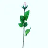 أمريكان بيضاء من الجلد الأحمر خياطة الورود خياطة تهنئة لخريجيك الذين يمتلكون ميزات حقيقية للكرة اللينة الهدايا الوردية