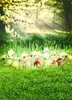 Słońce przez las bokeh fotografia backdrops wiosna drukowana gruszka kwiaty zielona trawa Easter jajka dziecka noworodka fotografii strzelać tło