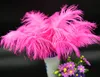 100ピース10-15cmの羽のダチョウのテール羽の羽毛の結婚式のパーティーの家の装飾のための尾の羽のファン