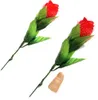 Светящиеся волшебные реквизиты Светлые розы Подарок на День Святого Валентина Опора Магия Детские игрушки