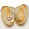 2018 Fashion Jewelry Natural Freshwater Pearl Oysters 6-8mm3 #20 Natural Purple Pearl Invertial ostron Vakuumpaket