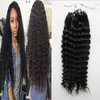 Micro Loop Ring Hair Extensions 10 "-26" Brasilianska Deep Curly Micro Loop Human Hair Extensions 100g Micro Bead Real Human Hair Extensions