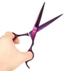 7 "Purple Professional 6pcs/Pet Scissors Skins Kit para cabello para perros Trimmer curvo Peades de belleza Accesorios de belleza
