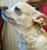 ブランラインストーンパールネックレス犬の襟の合金ダイヤモンドの子犬ペット襟のリサーズ犬の犬の犬のアクセサリー