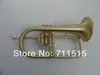 Instruments de musique professionnels BB Flugelhorn en laiton tube monel vannes surface brossée brossé