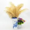 Plume d'autruche naturelle, décoration florale pour fenêtre d'hôtel, table de mariage, poils d'autruche teintés, vente en gros, 15-20CM, livraison gratuite
