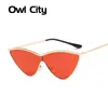 Owl City Cat Eye Occhiali da sole Donna One Piece Occhiali da sole vintage Occhiali da sole firmati da donna retrò Occhiali da sole di colore rosso nero Specchio rosa