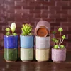 Buz Kırma Mini Seramik Saksı Renkli Succulents Etli Saksı İçin Masaüstü Dekorasyon Meaty Saksı Bitkileri Saksılar Sevimli 3 Ty ZKK