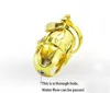 Gold Kinger Hot Male Chastity Device Rostfritt stål Bird Beads Chastity Cage #R47