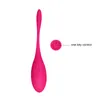 Clitoris Estimulador de controle remoto sem fio Vibrador Silicone Bullet Egg Vibrador Recarregável Bolas Vaginais Brinquedos Sexuais Para Mulher C182274429