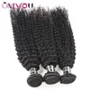 Brazilian Kinky Curly Weave Bundles with Lace Frontal Closure Mink Brazilian Virgin Hair Weaves 3 Kinky Curls with Ear to Ear Lace1238644