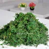 500g / saco Mantenha seco real verde musgo plantas decorativas vaso artificial relvado de seda vaso acessórios para decoração de flowerpot