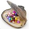 Party Surprise Gift 6-8mm Natural Fresh Oval Pearl in Oyster Shell 25 Mixed Colors, Vacuum Packaging Spot Wholesale (Free Shipping)