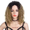 Synthetische pruiken voor vrouwen Kanten Voorkant Zwart Krullend Pruik Kort Afro-Amerikaans Afro Kinky Krullend Haar Pruiken Hittebestendige Vezel krullend F6732979