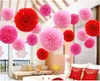 10cm 15cm 20cm 25cm Wedding Decorative Paper Pompoms Pom Poms 4 6 8 10 inch Balls Party Home Decor Tissue Birthday Decoration