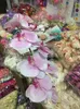 50 teile / los seide phalaenopsis künstliche blume handgemachte seide rose blume köpfe für hochzeit dekoration flowerwall 11cm