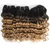 Bruppamenti di capelli ricci profondi brasiliani fasci di capelli umani bundle ombre bordeaux 3pcsset per testa piena da 810 pollici di capelli umani estensi7669366