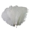 Plumes d'autruche blanches colorées de 12 à 14 pouces (30 à 35 cm) pour la pièce maîtresse de mariage décor d'événement de fête de mariage décoration festive