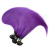 Dark Root Purple Straight Human Peruviaanse Virgin Hair Extension Silk Rechte Paars Haarverlenging 3 Stks Paars Ombre Haar Weeft Hoge Qualit