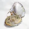 2020 zoetwater natuurlijke Akoya ronde parels losse kralen gekweekte verse oester parel mossel boerderij levering dropshipping groothandel 7-8mm multicolor