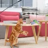 6 عبوات من لعبة قطط ريشة ملونة قابلة للسحب مع 5 ألعاب رأس ريش بديلة لصائد القطط