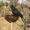 Groothandel schattige kunstmatige kraai kleine zwarte vogel raven schieten rekwisieten decor voor halloween display event bar diy decoratie levert 16cm