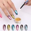 Magnete per occhi di gatto 3D laser a 6 colori Glitter per unghie Polvere di camaleonte magico Polvere per unghie Pigmento per manicure Decorazioni per unghie