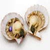 Wholesale Party Surprise Gift Seawater Red Shell Oysters with 6-8mm Oval #10 Light Blue Pearl 1pcs