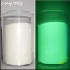 Vit glödande grönt ljus Lysande pulverfosforpigment 500g Bag Noctilucent Powder Glow in Dark Dust Pigment för Paint309U