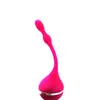 Silicone Ben Wa Balls Woman Kegel Vaginale Sfera stretta Esercizio a pallina Vibratore Massager Ball Toys per donne 2937259