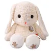 Kawaii Cartoon Kaninchen Plüsch Spielzeug Lop Ohr Hase Puppe Rosa Kaninchen Stofftiere Mädchen schlafen Kissen 75 cm 105 cm DY50470