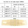 HOPEFORTH Waist Support Lumbar Belt Back Braces Four Steels Breathable Treatment of Disc Herniation Lumber Muscle Strain Beige6566217