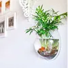 홈 장식 투명 식물 꽃 냄비 벽 교수형 화병 마운트 거품 수족관 그릇 물고기 탱크 수족관 XP0353