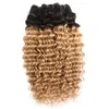 Djupa lockiga brasilianska hårväv med stängning 44 del blond ombre 1b 27 djupa våg hårbuntar med spetsstängning9106054