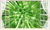 Niestandardowe zdjęcie Tapety Wykwintne HD Orzeźwiające Zielony Bambusowy Nastrój 3d Stereo TV Tło Wall Art Mural Do Salonu Duża Painti