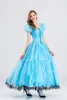 Cadılar Bayramı Rol Oynamak Alice Harikalar Diyarında Mavi Peng Etek Prenses Elbise Güzel Masal Prenses Elbise