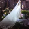 스톡 SHINING APPLIQUE CRYSTAL Long Wedding Veil Bride Veil 두 층 고품질 웨딩 베일 with comb3676175