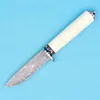 Top quality Damascus Hunting Knife Damascus Steel Blade Bone Handle Outdoor Camping Hiking Hunting Survival Straight Knives Tools