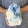 Cirka 1 kg naturlig Celestite Geode Quartz Cluster Crystal Prov Healing247p