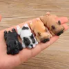 Bonitos Pequenos Buldogues Franceses Ímãs Série de Dormir Chai Dog DIY Boneca Adesivos Magnéticos Dos Desenhos Animados Mini Brinquedos Boneca Para Decoração de Frigorífico Passatempos