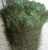 100pcs Feather Peacock Tails 10 "-12" Tail fjädrar fläkt för smycken reklam heminredning