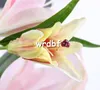 Sahte Uzun Kök Zambak (5 kafaları / adet) Yapay 3D Baskılı Lilyum Düğün Vitrin Dekoratif Yapay Çiçekler için