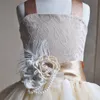 2 to 8 years Girls ball grown lace dresses, baby children tutu summer tulle clothes, kids wedding/party clothing, R1ES12DS-99BF